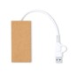 Hasgar - 1 Typ C Hub. 2 Hubs USB 2.0 | Reclycling Pappe