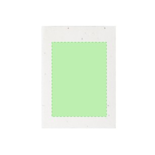 Zomek - 50 Haftnotizen 7 x 10 cm. Petuniensamen Inklusive. In verschiedenen Farben | Samenpapier