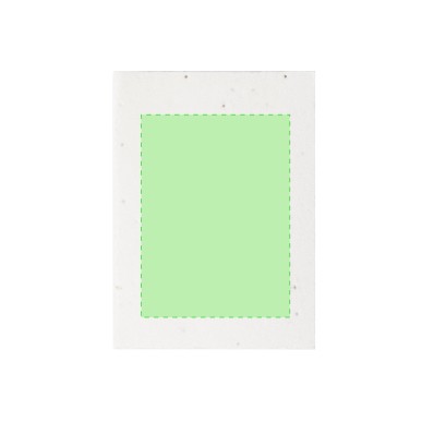 Zomek - 50 Haftnotizen 7 x 10 cm. Petuniensamen Inklusive. In verschie