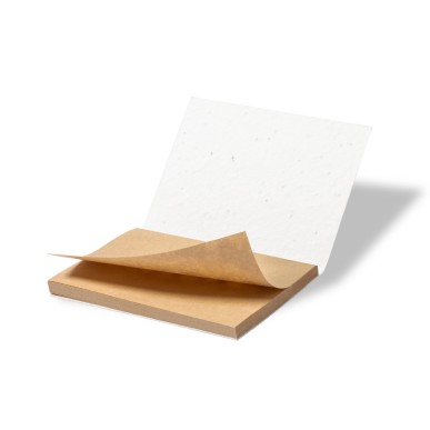 Zomek - 50 Haftnotizen 7 x 10 cm. Petuniensamen Inklusive. In verschie