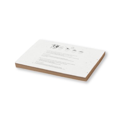 Zomek - 50 Haftnotizen 7 x 10 cm. Petuniensamen Inklusive. In verschie
