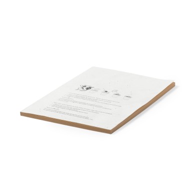 Maiwen - 60 Blätter. Petuniensamen Inklusive. In verschiedenen Farben 