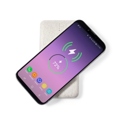 Yendik - Drahtlos 10W. 8000 mAh. 2 USB Ausgänge. Typ C Ausgänge und Ei
