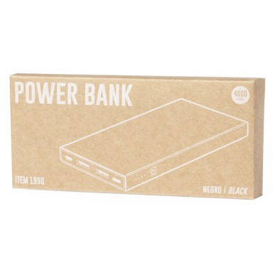Ginval - 4000 mAh. 2 USB Ausgänge. Typ C Ausgänge und Eingang | Reclyc