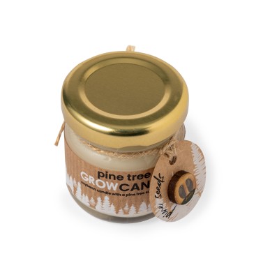 Lisa - Arôme Pin. Graines de Pin Incluses | Verre