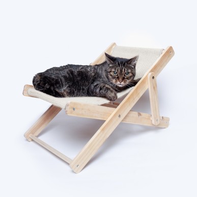 Diny - Pliable | Bois/ Toile