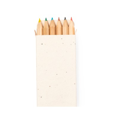 Delar - 6 Crayons. Graines de Pétunia Incluses. Fleurs Couleurs Divers