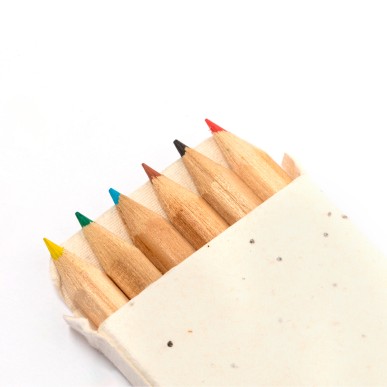Delar - 6 Crayons. Graines de Pétunia Incluses. Fleurs Couleurs Divers