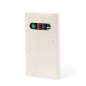 Fyser - 6 Crayons. Graines de Pétunia Incluses. Fleurs Couleurs Diverses | Papier Ensemencé Fyser - 6 Crayons. Graines de Pétunia Incluses. Fleurs Couleurs Diverses | Papier Ensemencé
