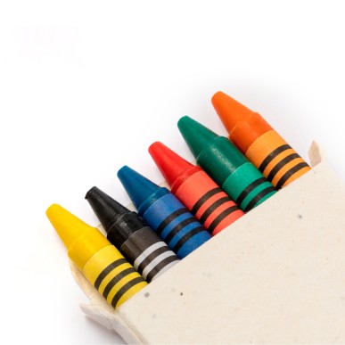 Fyser - 6 Crayons. Graines de Pétunia Incluses. Fleurs Couleurs Divers