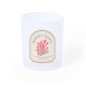 Loter - 350 ml | Glas Loter - 350 ml | Glas