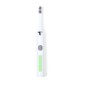 Kalins - 1 Pile AA Non Incluse Kalins - 1 Pile AA Non Incluse