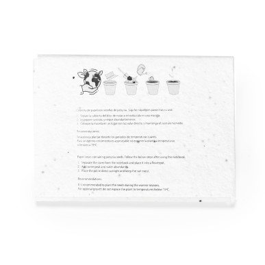 Albot - 25 Haftnotizen 5 x 7,5 cm. 125 Mini Haftnotizen 1,5 x 5 cm. Pe