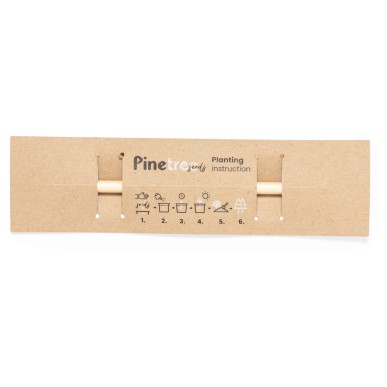 Etesio - Graines de Pin Incluses | Bois