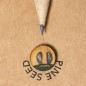 Etesio - Graines de Pin Incluses | Bois Etesio - Graines de Pin Incluses | Bois