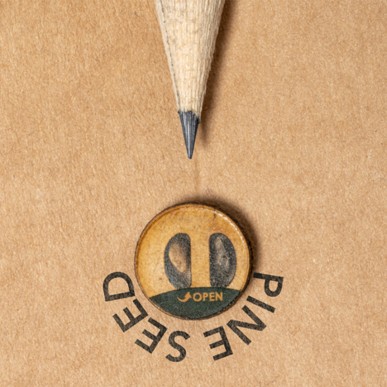 Etesio - Graines de Pin Incluses | Bois