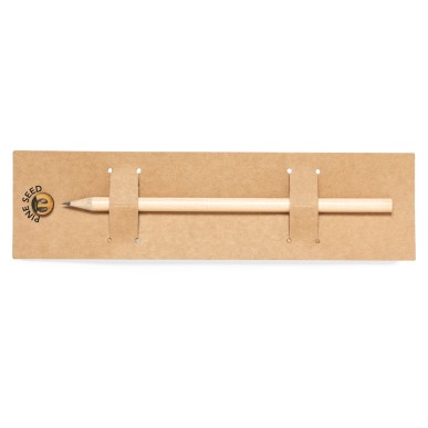 Etesio - Graines de Pin Incluses | Bois