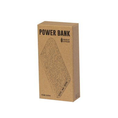 Golblum - 20000 mAh. 2 USB 0Ausgänge. Typ C Ausgänge und Eingang | Wei