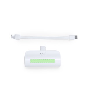 Laford - 5000 mAh. 2 Ausgang Typ C. Typ C Eingang
