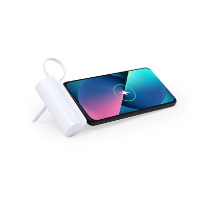 Laford - 5000 mAh. 2 Ausgang Typ C. Typ C Eingang