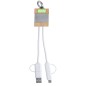 Desak - Anschluss Micro USB, Typ C und Lightning 5V DC 2.4A | Reclycling Aluminium/ Bambus