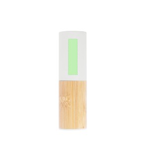 Reneh - 4500 mAh. Sortie USB. Sortie et Entrée Type C | Paille de Blé/ ABS/ Bambou