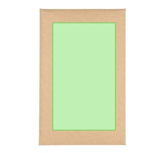 Astrox - Graines de Pin Incluses | Bois