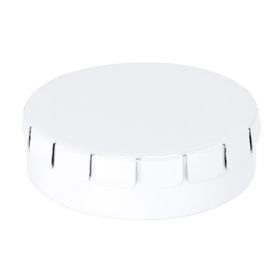 Mizzen - Ca 80 Zuckerfreien Mints (12 gr.) | Metall