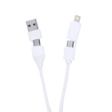 Leony - 1 Port Type C. 1 Port USB 2.0. Connexion Micro USB, Type C et 