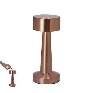 Rosity - 24 Leds. 3 Modes de Lumière. Lumière à Intensité Réglable. Ba