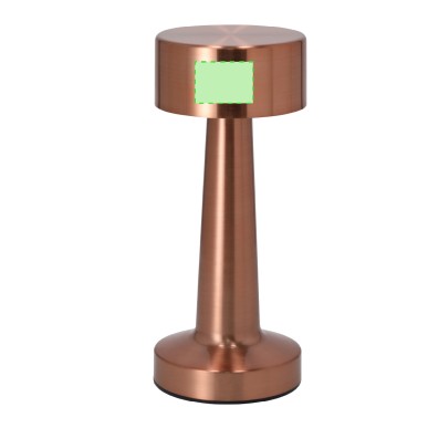 Rosity - 24 Leds. 3 Modes de Lumière. Lumière à Intensité Réglable. Ba