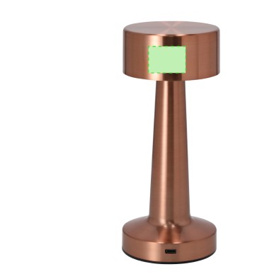 Rosity - 24 Leds. 3 Modes de Lumière. Lumière à Intensité Réglable. Ba