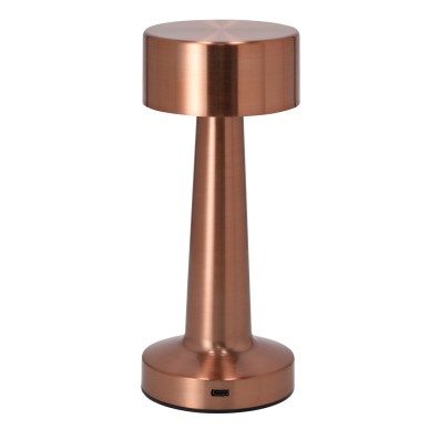 Rosity - 24 Leds. 3 Modes de Lumière. Lumière à Intensité Réglable. Ba