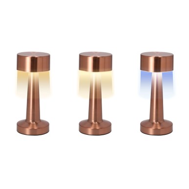 Rosity - 24 Leds. 3 Modes de Lumière. Lumière à Intensité Réglable. Ba