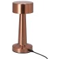 Rosity - 24 Leds. 3 Modes de Lumière. Lumière à Intensité Réglable. Batterie 1.200 mAh | Métal