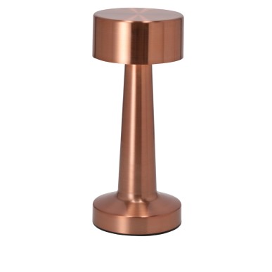 Rosity - 24 Leds. 3 Modes de Lumière. Lumière à Intensité Réglable. Ba