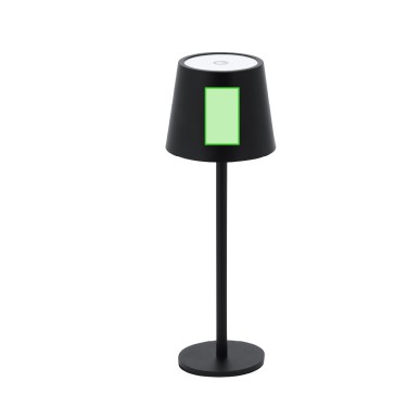 Tanik - 48 Leds. 3 Modes de Lumière. Lumière à Intensité Réglable. Bat