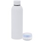 Meflex - Lumières Led Multicolores. 540 ml. Connexion Bluetooth. Puissance Sonore 3W. Batterie 300 mAh | Acier Inox