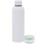 Meflex - Lumières Led Multicolores. 540 ml. Connexion Bluetooth. Puissance Sonore 3W. Batterie 300 mAh | Acier Inox