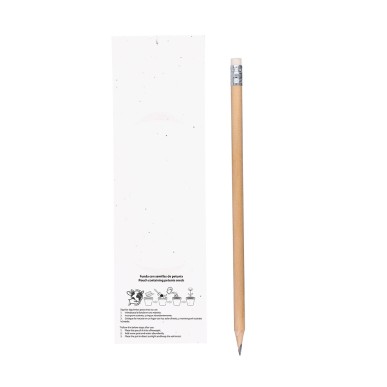 Meron - Étui Papier Ensemencé. Graines de Pétunia. Fleurs Couleurs Div