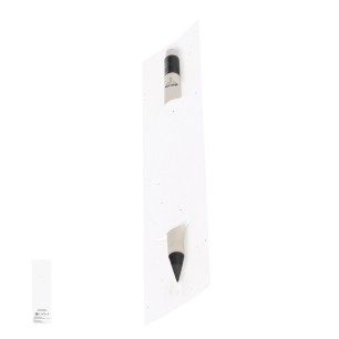 Stauton - Étui Papier Ensemencé. Graines de Pétunia. Fleurs Couleurs D