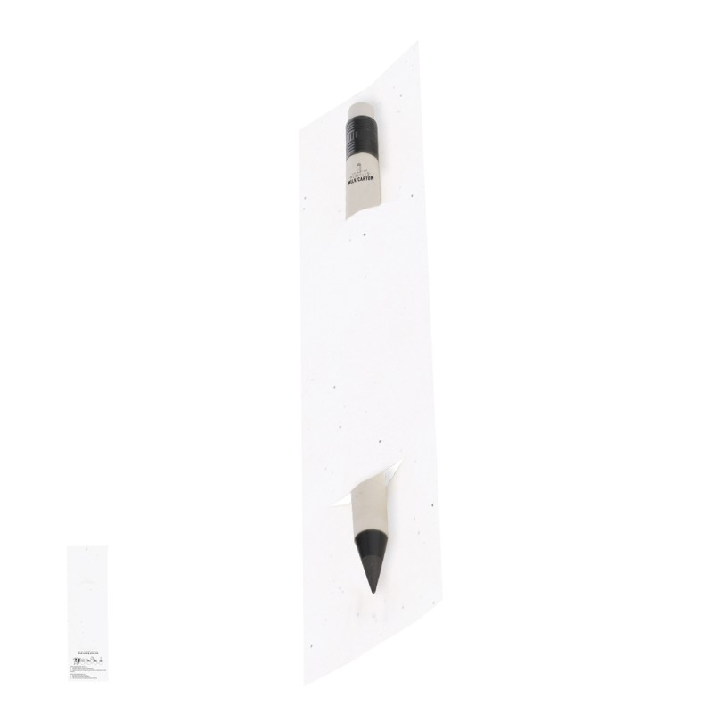 Stauton - Étui Papier Ensemencé. Graines de Pétunia. Fleurs Couleurs Diverses | Cartons de Lait Recyclés Stauton - Étui Papier Ensemencé. Graines de Pétunia. Fleurs Couleurs Diverses | Cartons de Lait Recyclés