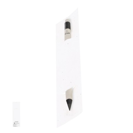 Stauton - Étui Papier Ensemencé. Graines de Pétunia. Fleurs Couleurs D
