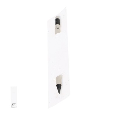 Stauton - Étui Papier Ensemencé. Graines de Pétunia. Fleurs Couleurs D