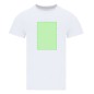 Minton - 100% Baumwolle Ring Spun, Single Jersey 200 g/ m2