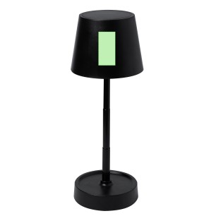 Kirsten - 12 Leds. Pliable. Lumière à Intensité Réglable. Batterie 800 mAh