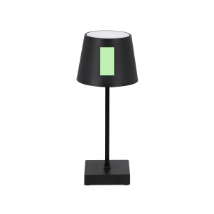 Madison - 17 Leds. 3 Modes de Lumière. 3 Piles AAA Non Incluses