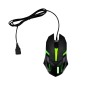 Qinox - Mehrfarbige Led Lichter. Optisch. USB Anschluss Qinox - Mehrfarbige Led Lichter. Optisch. USB Anschluss