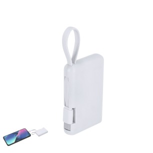 Brandin - 2000 mAh. Typ C Ausgänge und Eingang