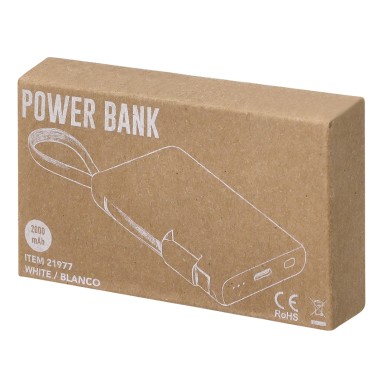 Brandin - 2000 mAh. Typ C Ausgänge und Eingang